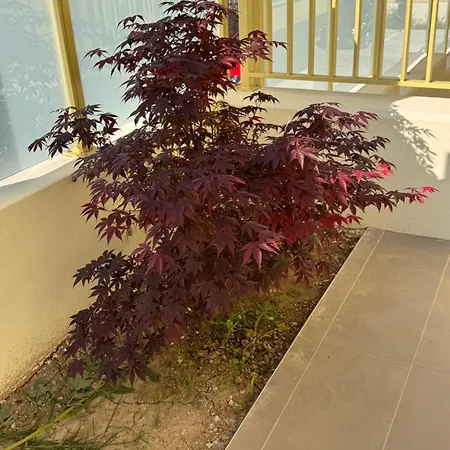 Loggetta Sole Centro Pescara